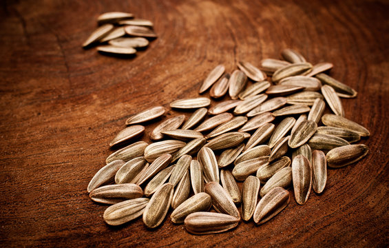 รูปภาพAsilado – เลือกดูภาพถ่ายสต็อก เวกเตอร์ และวิดีโอ135 | Adobe Stock