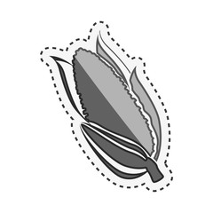 fresh vegetable isolated icon vector illustration design