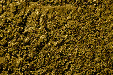 Yellow swamp surface macro natural texture