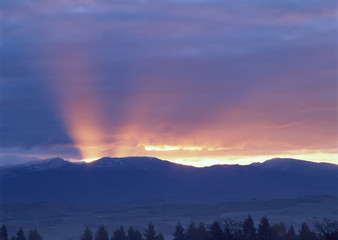 Rays of Sunlight Beam