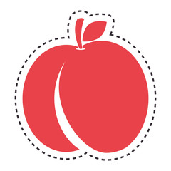 fresh fruit isolated icon vector illustration design