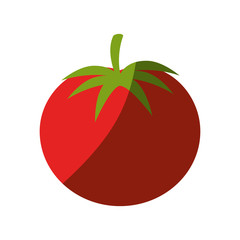 fresh vegetable isolated icon vector illustration design