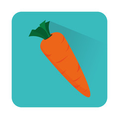 fresh vegetable isolated icon vector illustration design