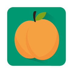 fresh vegetable isolated icon vector illustration design