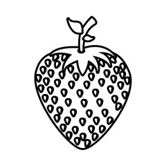 fresh fruit isolated icon vector illustration design