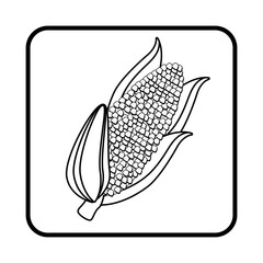 fresh vegetable isolated icon vector illustration design