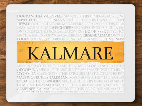 Kalmare