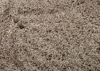 Sand