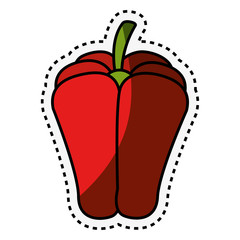 fresh vegetable with cut line isolated icon vector illustration design