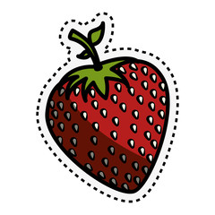 fresh fruit with cut line isolated icon vector illustration design