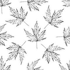Maple leaves seamless pattern