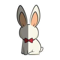 cute rabbit character kawaii style vector illustration design