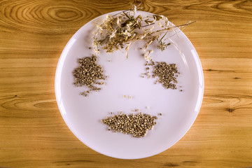 White plate, dried leaves of hemp and hemp seeds in yellowish wo