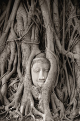 Head of Buddha