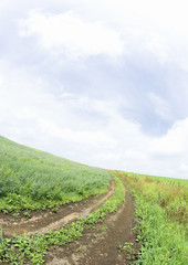 Blue sky and the path in field