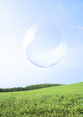 Bubbles and the field of grass