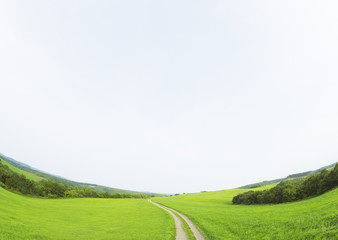 Blue sky and the path in the field