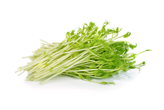Green Pea Sprouts isolated on white