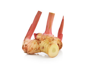 Fresh galangal isolated on white background.