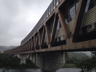 steel bridge and river
