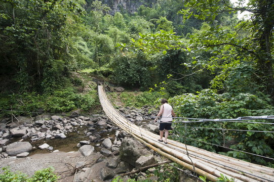 Bamboo bridge at Dark View Falls, St. Vincent, St. Vincent and The Grenadines, Windward Islands