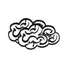 Human brain mind icon vector illustration graphic design