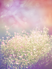 Naklejka premium Natural blurred background of pink flower on orange background.