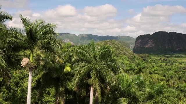 Cuban nature, countryside, landscape and natural beauty. View of country fields, hills and mountains in Vinales (Vi&ntilde;ales), Cuba. Wide angle shot