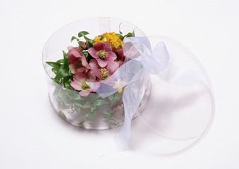 Bridal & Celebratory occasions