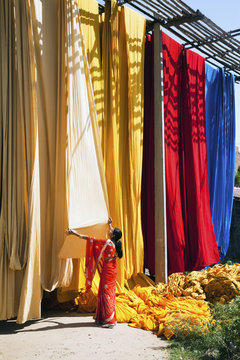 Woman in sari checking the quality of freshly dyed fabric hanging to dry, Sari garment factory, Rajasthan