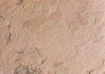 Stone