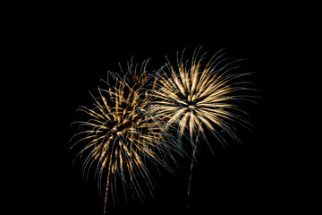 Fototapeta premium Fireworks light up the sky