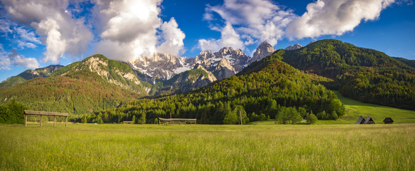 Alpine meadow, Julian Alps, Slovenia