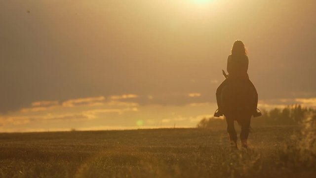 Woman Riding Horse On Field During Sunset