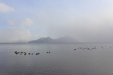 冬の洞爺湖とカモの群れ