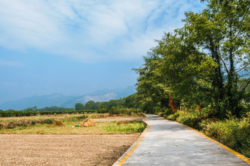 The country road scenery 