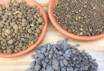 Pumice Stone Pebbles And back Akadama soil