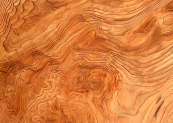 Akita Cedar