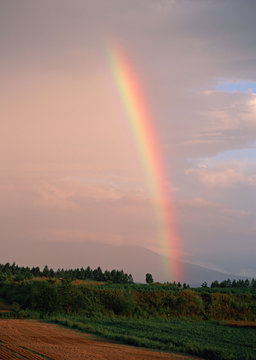 Rainbow © imagenavi