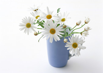 Marguerite