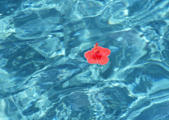 Surface of the Water