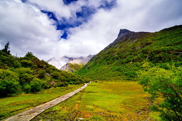 Fototapeta premium path to yading mountain, china