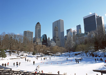 Skating Rink