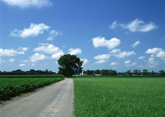 Road