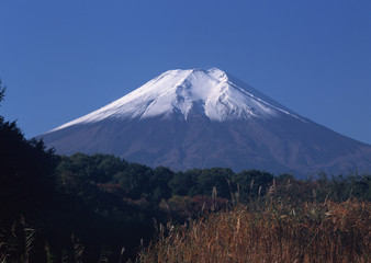 Mt. Fuji