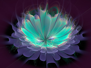 Fractal flower on black background, abstract computer-generated image