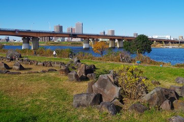 川沿いの芝生と岩