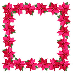 A square frame of red Christmas poinsettia flowers 