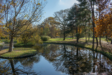 Fototapeta na wymiar Tree reflection on the lake in the park