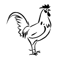 chicken Chinese style, vector